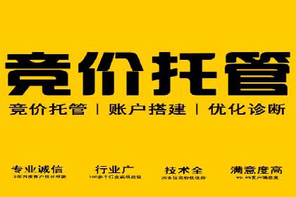SEM广告的秘密武器：精准定向与优化策略